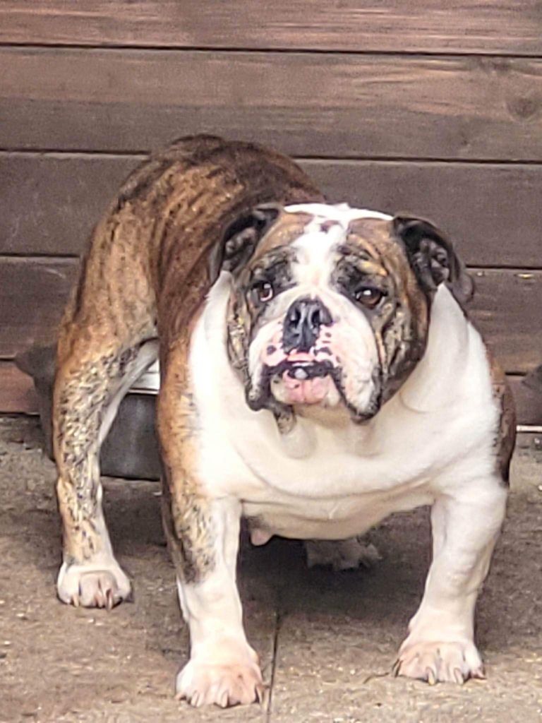 Olga du domaine de Cateline