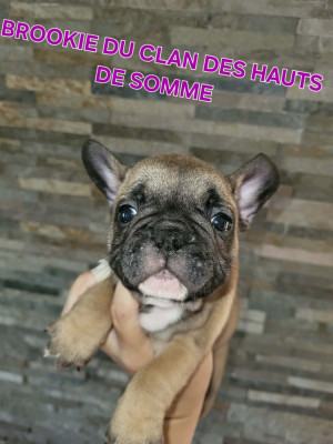 Betty